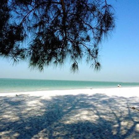 Affordable Beach Condos - One Bedroom Dlx Condos St. Pete Beach Zewnętrze zdjęcie