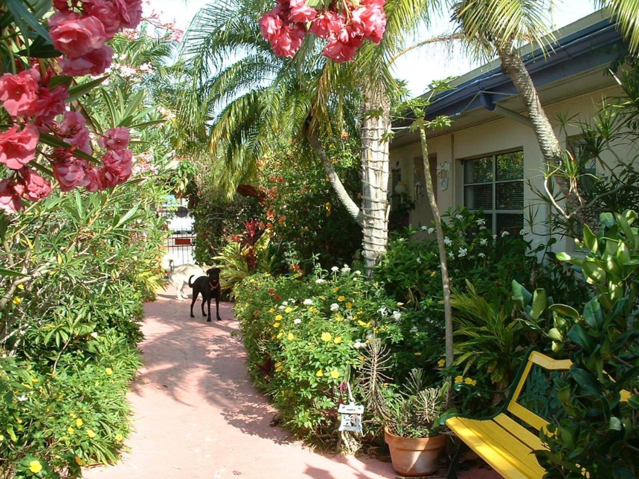 Affordable Beach Condos - One Bedroom Dlx Condos St. Pete Beach Zewnętrze zdjęcie