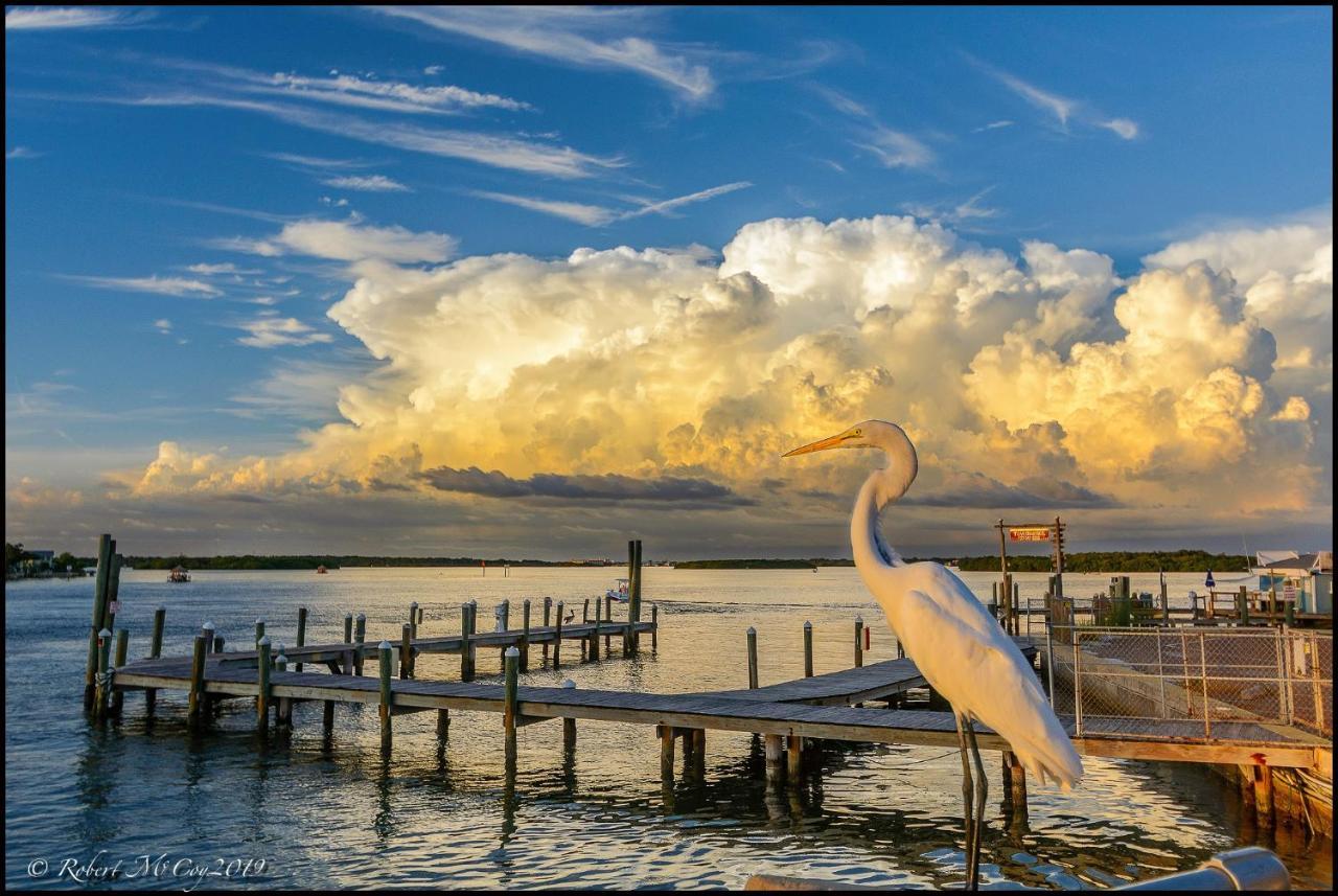 Affordable Beach Condos - One Bedroom Dlx Condos St. Pete Beach Zewnętrze zdjęcie